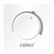 Терморегулятор Caleo C450